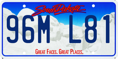 SD license plate 96ML81