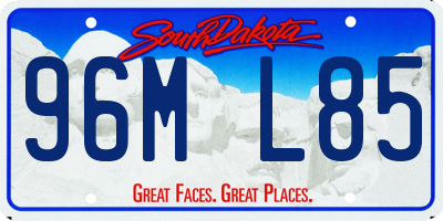 SD license plate 96ML85