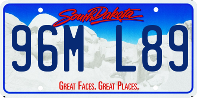 SD license plate 96ML89