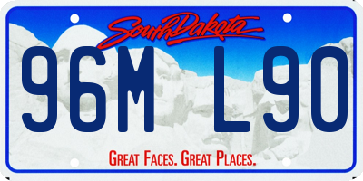 SD license plate 96ML90