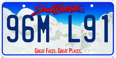 SD license plate 96ML91
