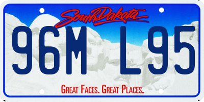 SD license plate 96ML95