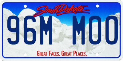 SD license plate 96MM00