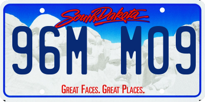 SD license plate 96MM09