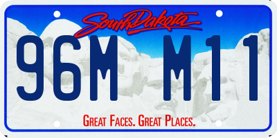 SD license plate 96MM11