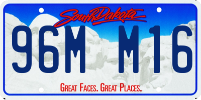 SD license plate 96MM16