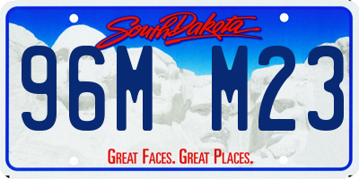 SD license plate 96MM23