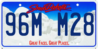 SD license plate 96MM28