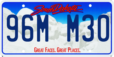 SD license plate 96MM30