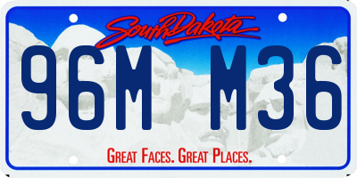 SD license plate 96MM36