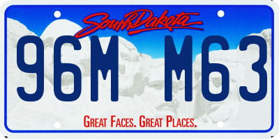 SD license plate 96MM63