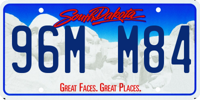 SD license plate 96MM84