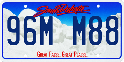 SD license plate 96MM88