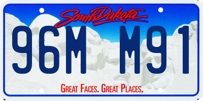 SD license plate 96MM91