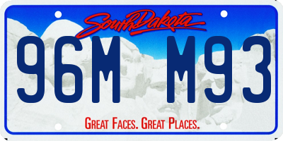 SD license plate 96MM93