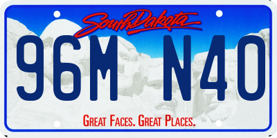 SD license plate 96MN40