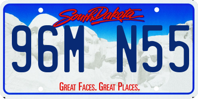 SD license plate 96MN55