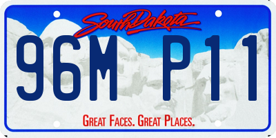 SD license plate 96MP11