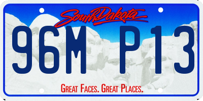 SD license plate 96MP13
