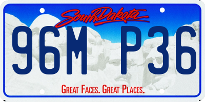 SD license plate 96MP36