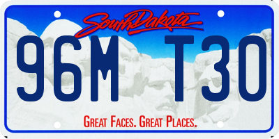 SD license plate 96MT30