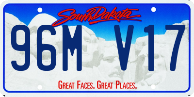 SD license plate 96MV17