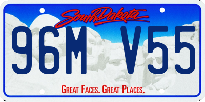 SD license plate 96MV55