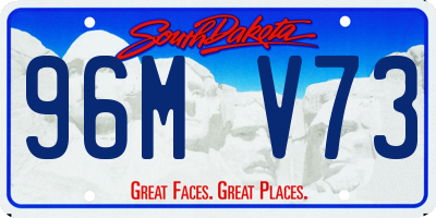 SD license plate 96MV73