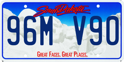 SD license plate 96MV90