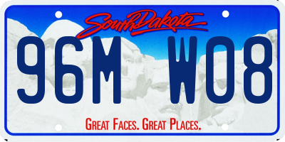 SD license plate 96MW08