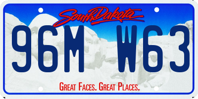 SD license plate 96MW63