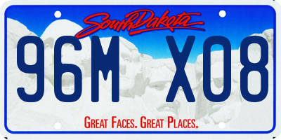 SD license plate 96MX08