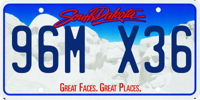 SD license plate 96MX36
