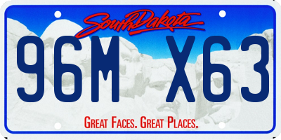 SD license plate 96MX63