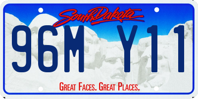 SD license plate 96MY11