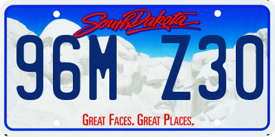 SD license plate 96MZ30