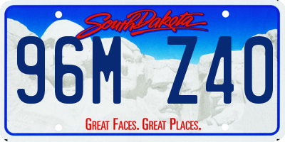 SD license plate 96MZ40