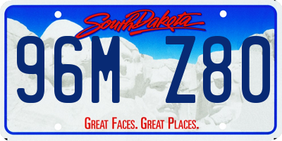 SD license plate 96MZ80