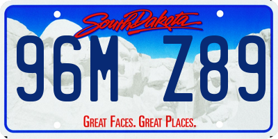 SD license plate 96MZ89
