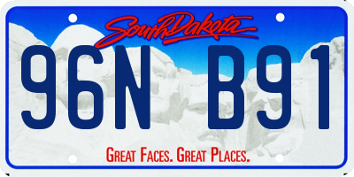 SD license plate 96NB91