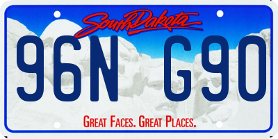 SD license plate 96NG90