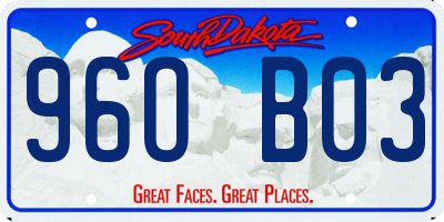 SD license plate 96OB03