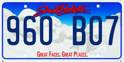 SD license plate 96OB07