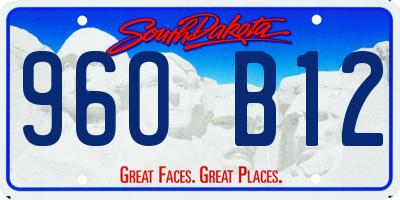 SD license plate 96OB12
