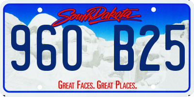 SD license plate 96OB25