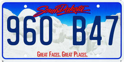 SD license plate 96OB47