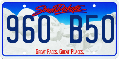 SD license plate 96OB50