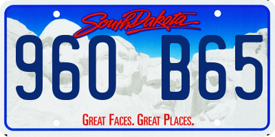 SD license plate 96OB65