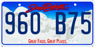 SD license plate 96OB75