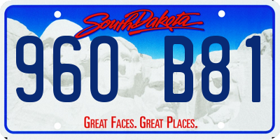 SD license plate 96OB81